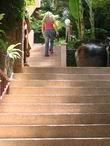 ANDAMAN CANNACIA 4 *
