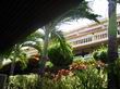 ORCHIDACEA RESORT 3 *